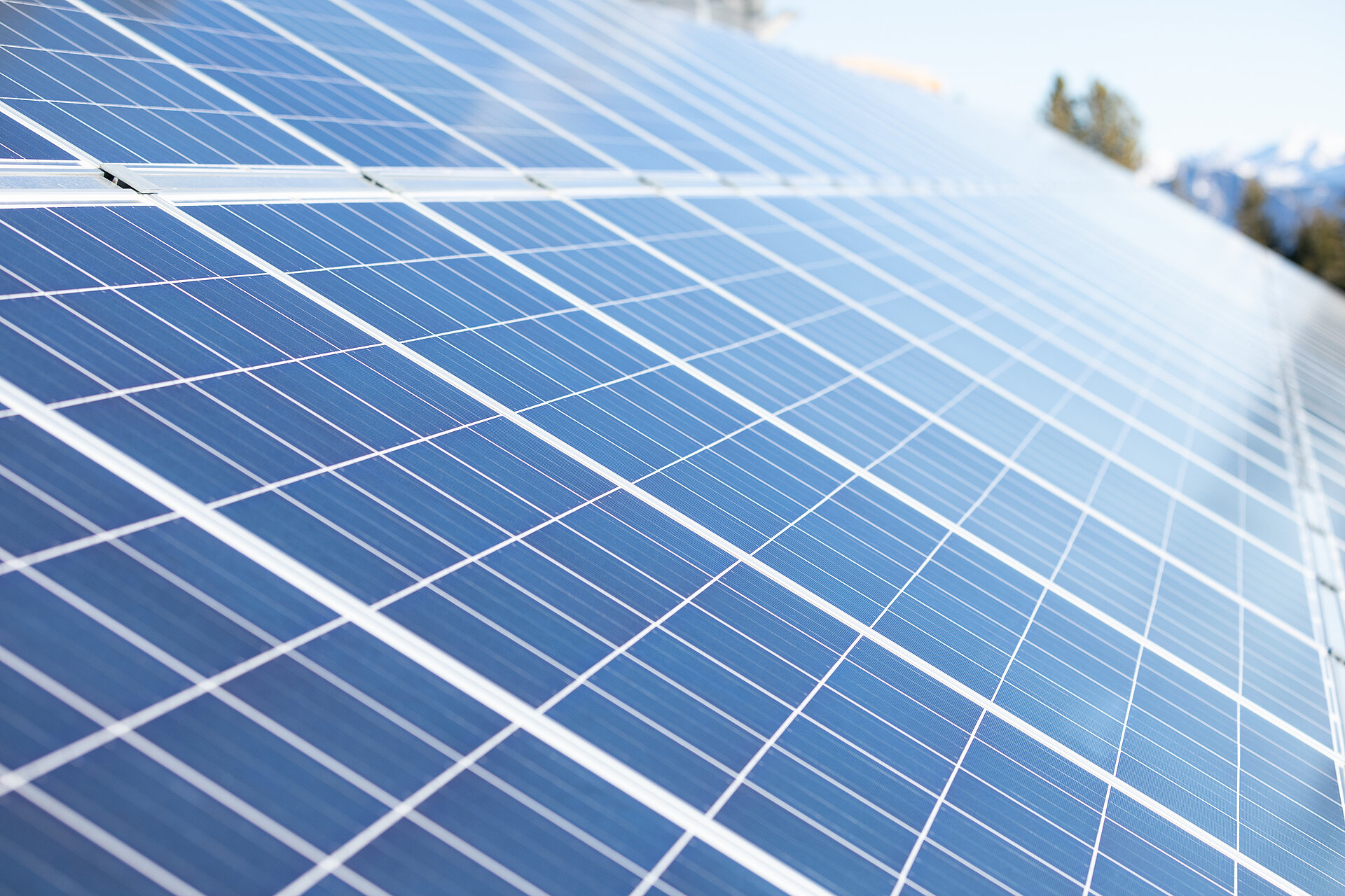 Solarplatten auf einem Dach