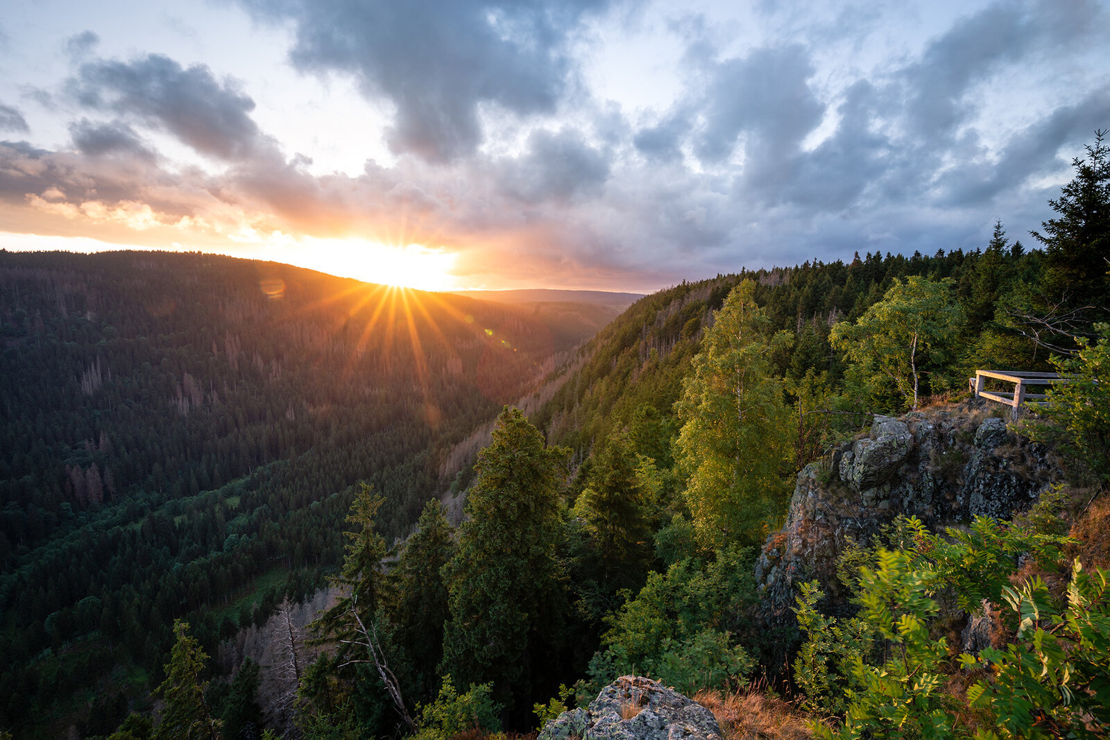 Waldlandschaft Harz mit Sonennuntergang