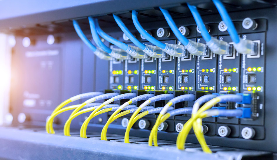 Ein Netzwerk mit 12 blauen und 12 gelben Kabeln