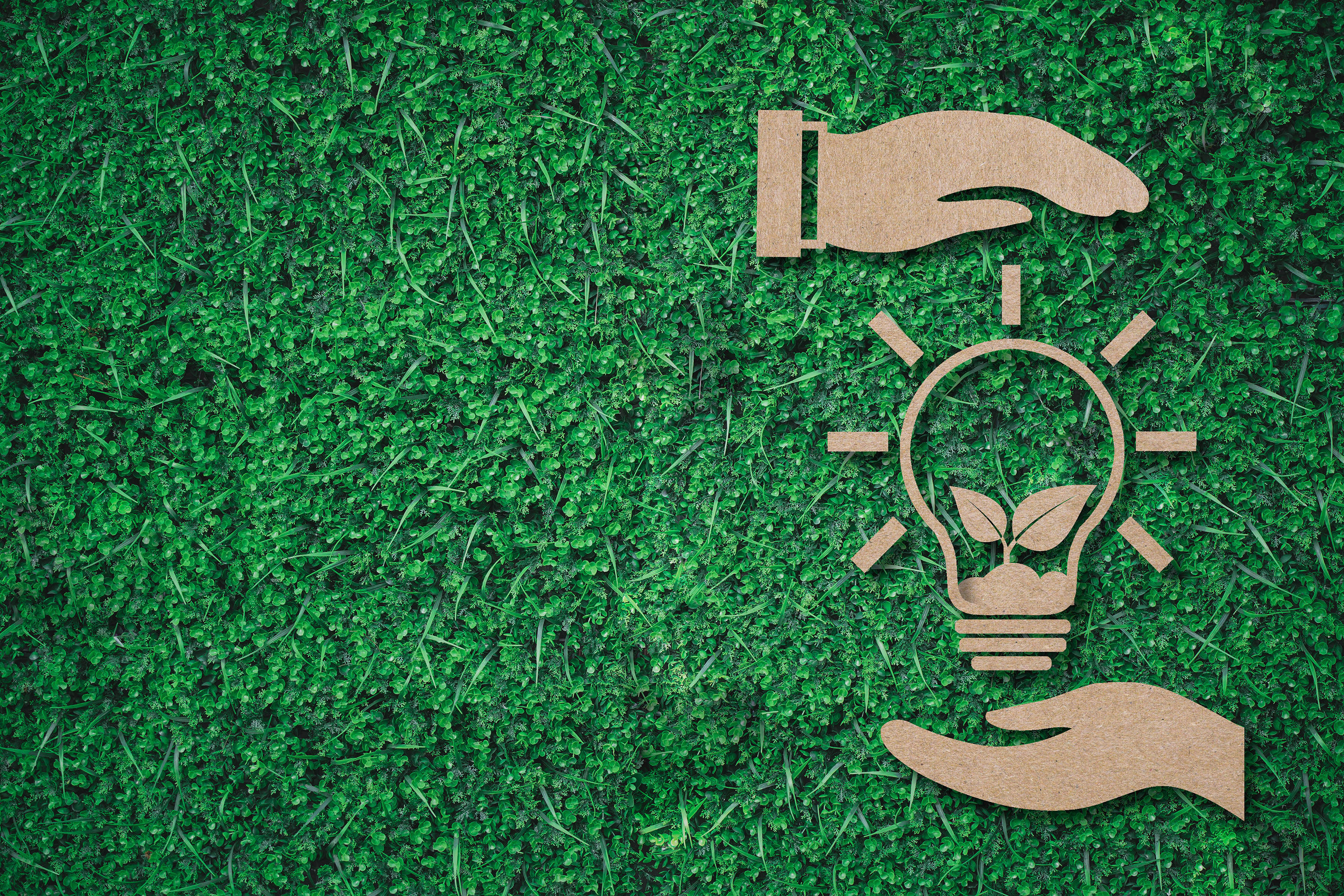 2 Hände, die eine Glühbirne umschließen, auf grünem Hintergrund