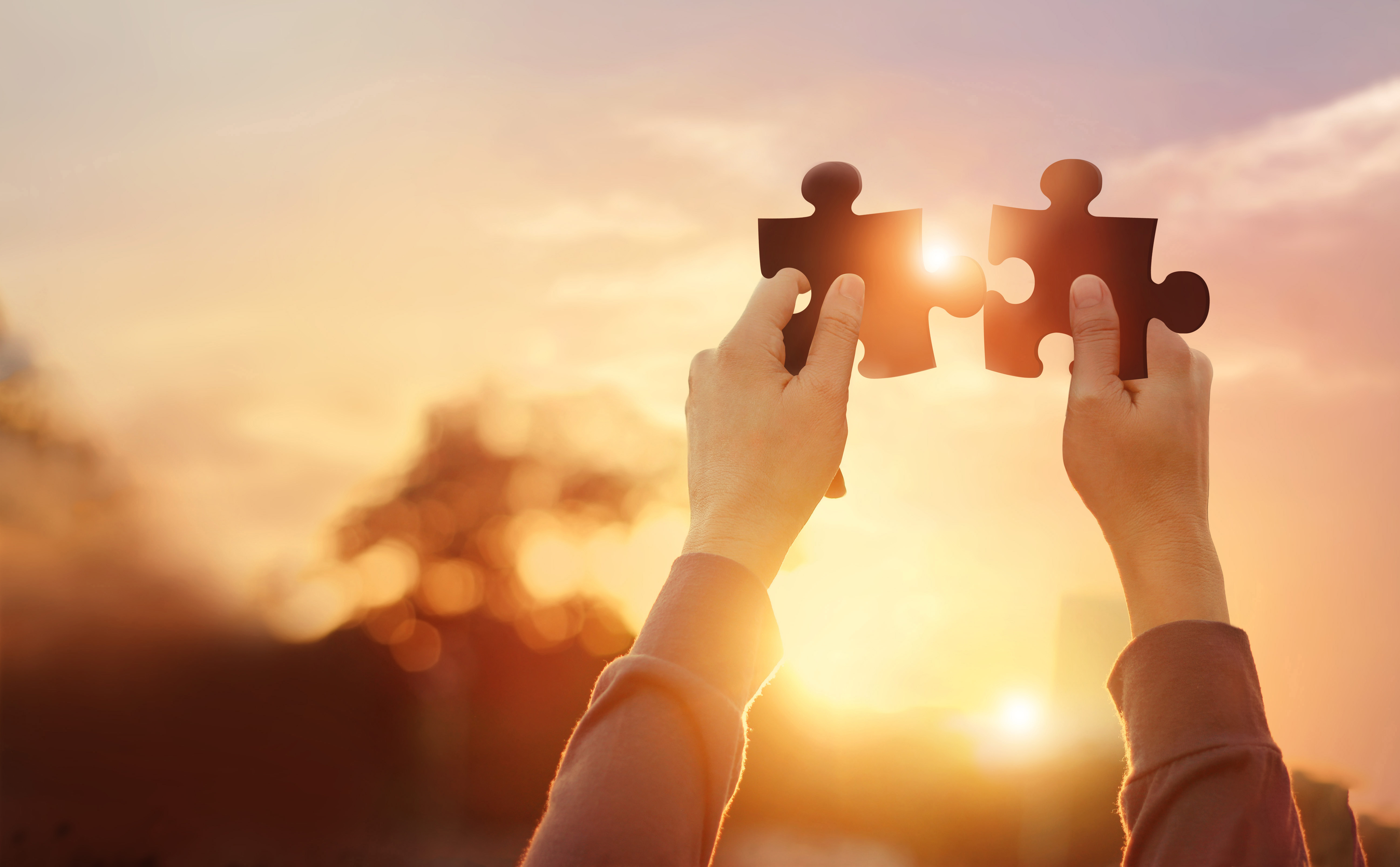 2 hands in front of a sunny background holding 2 puzzle pieces that fit into each other