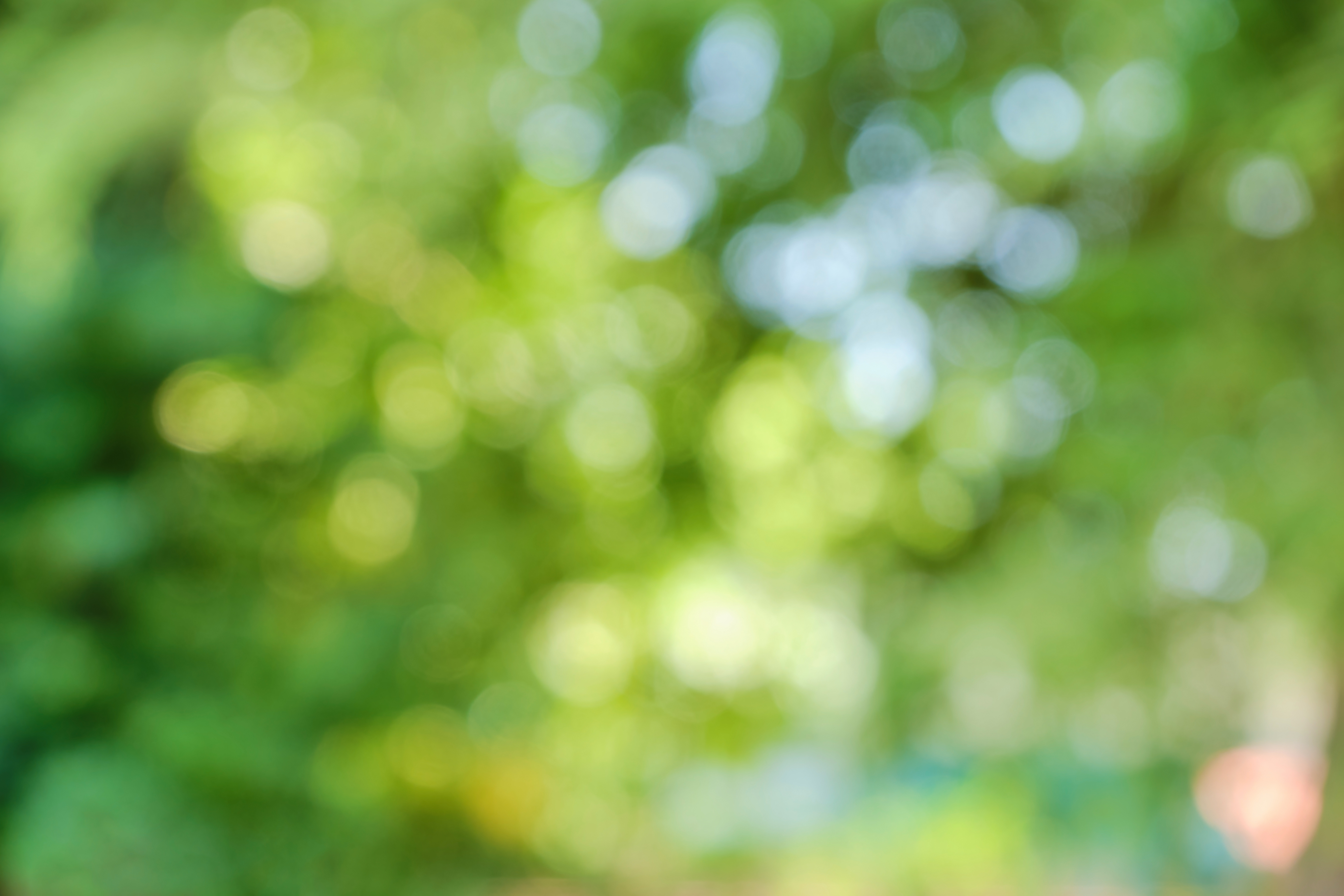 unscharfe Pflanzen und Sträucher mit verschiedenen Grüntönen